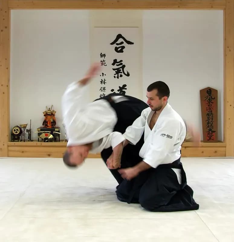 Aikido practitioner completing a circular throw