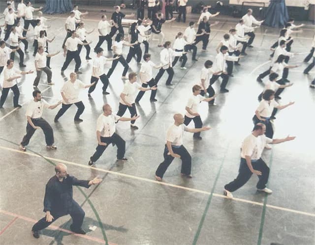 Choy Li Fut practitioner mid wide-arc strike