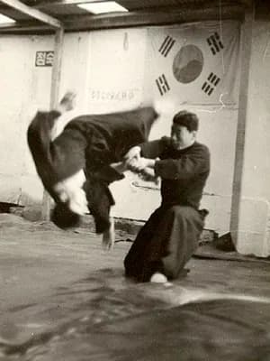 Hapkido wrist-lock control