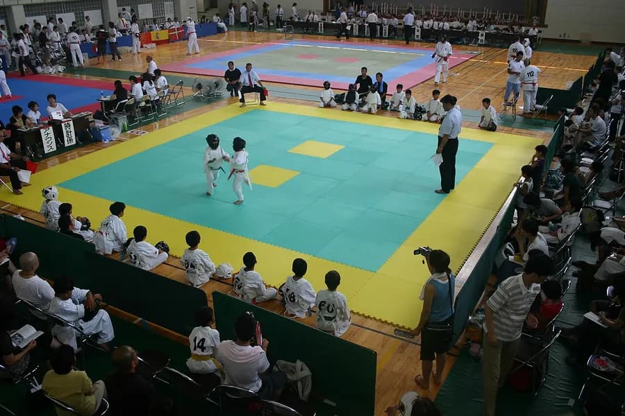 Kempo practitioner in fighting stance