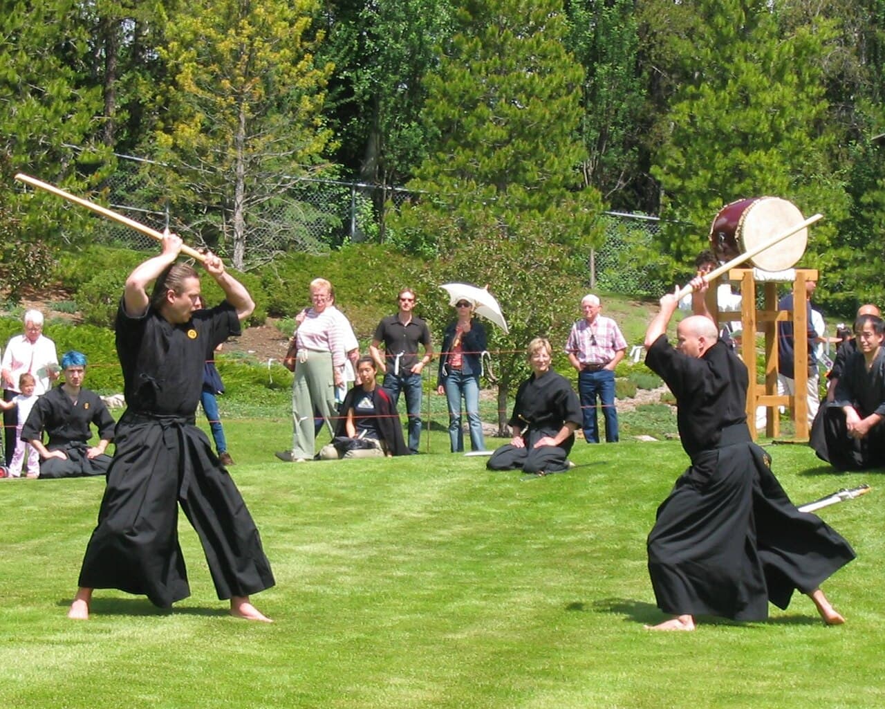 Kenjutsu practitioner performing kata