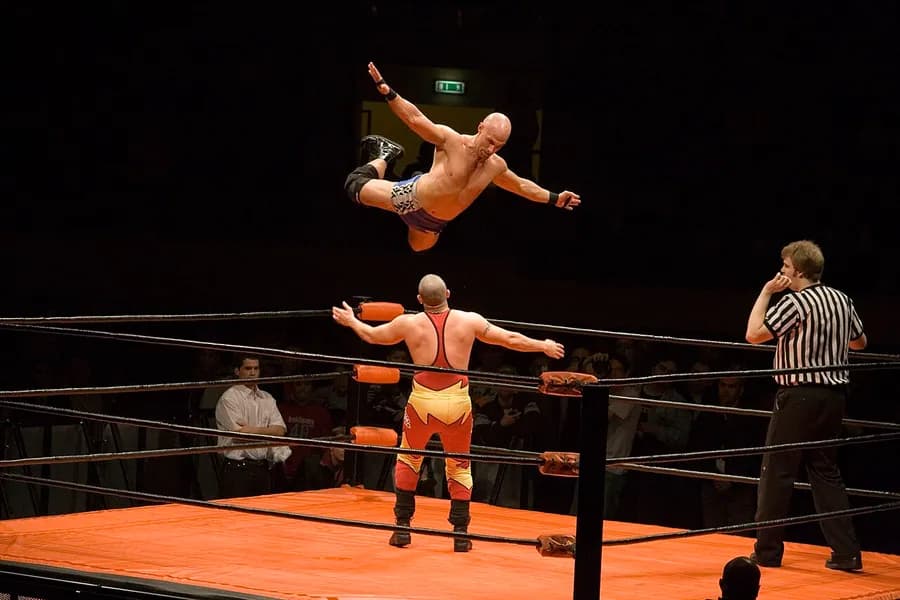 Professional wrestler in the ring
