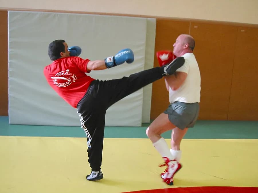 Savate stance