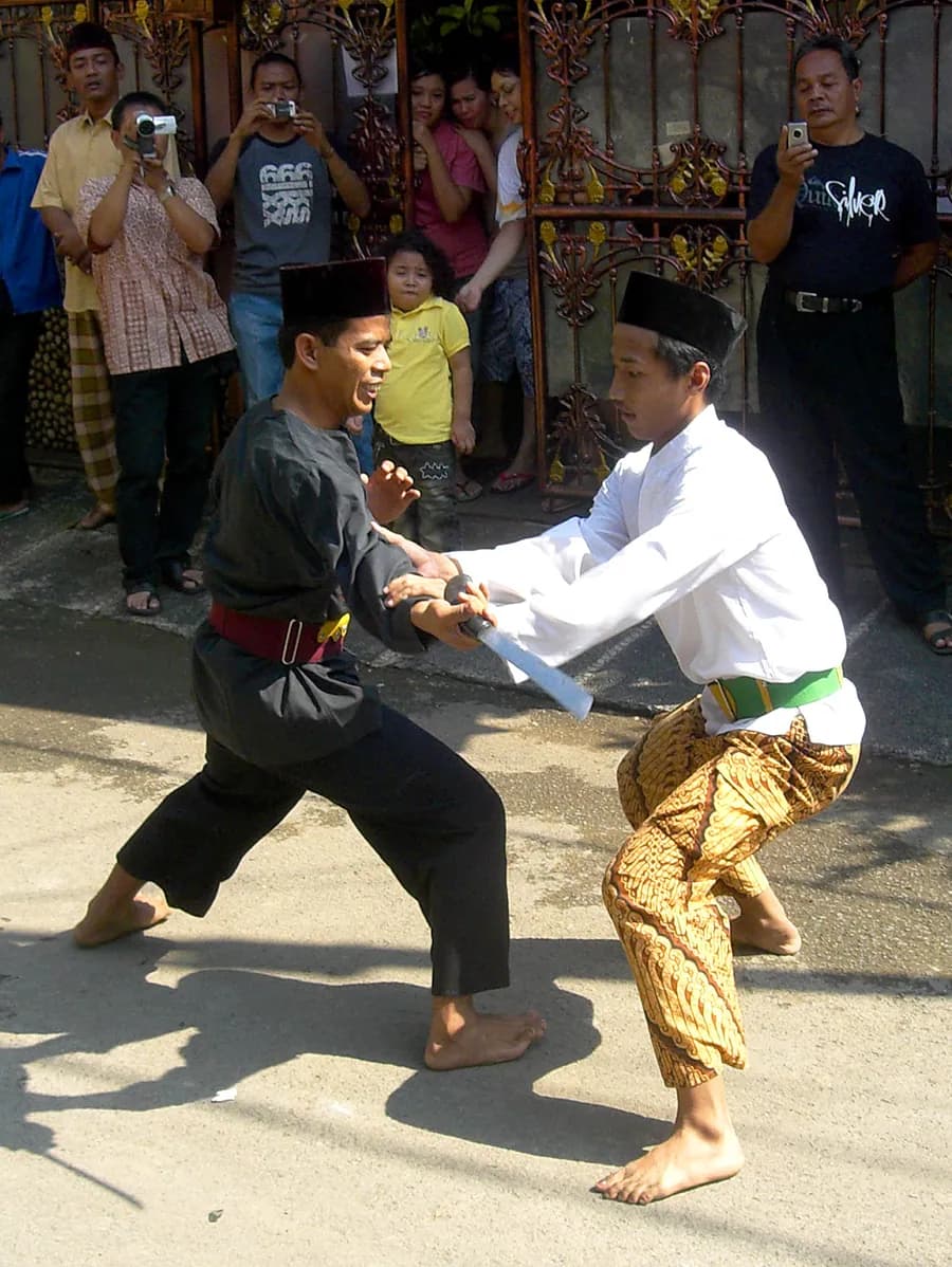 Silat angled stance