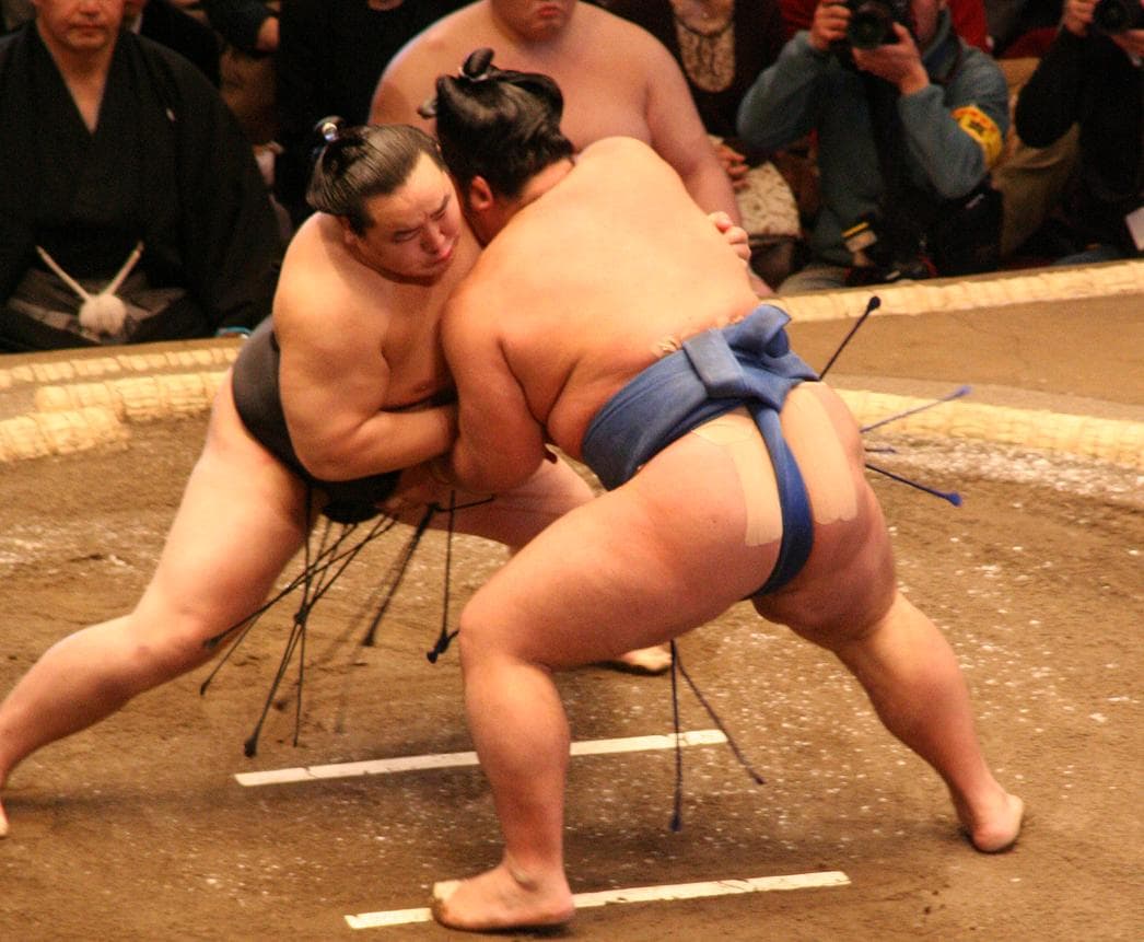 Sumo wrestler in ring