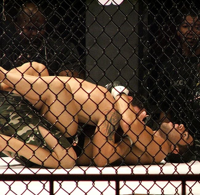 Vale Tudo fighter in the ring